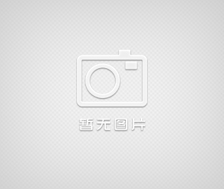  PS日本磚